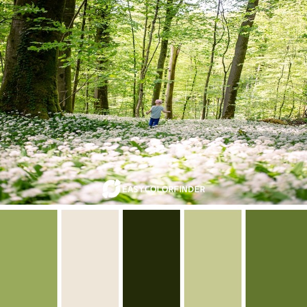 woman in blue long sleeve shirt walking on forest during daytime