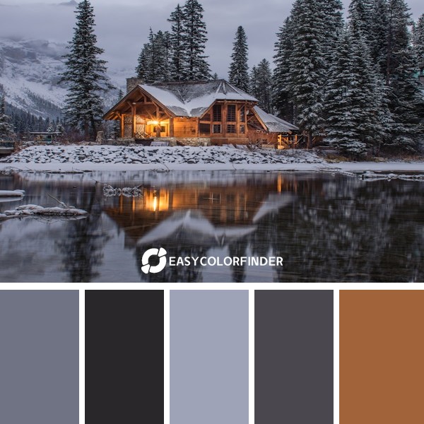 wooden house near pine trees and pond coatwith snow during daytime