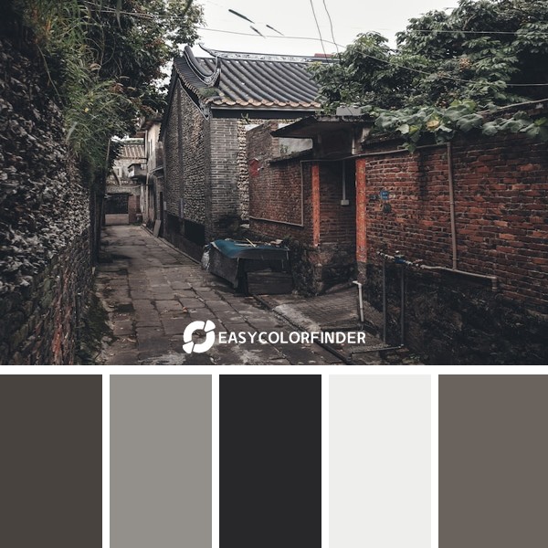 Color Palette 865 | 大岭村