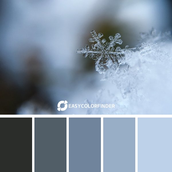 winter color palette 1 featuring 5 harmonious colors - photographed by Aaron Burden