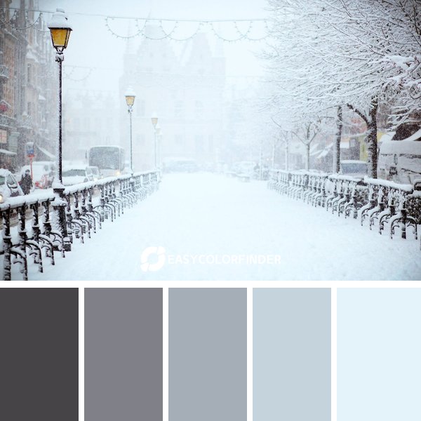 winter color palette 2 featuring 5 harmonious colors - photographed by Filip Bunkens