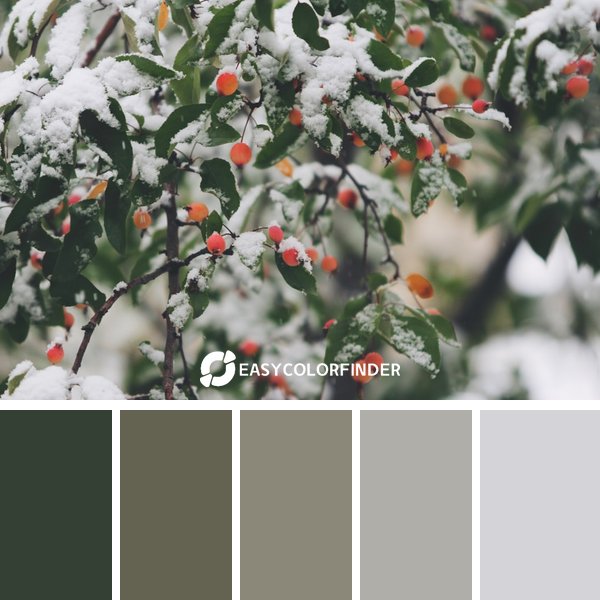 winter color palette 3 featuring 5 harmonious colors - photographed by John Price