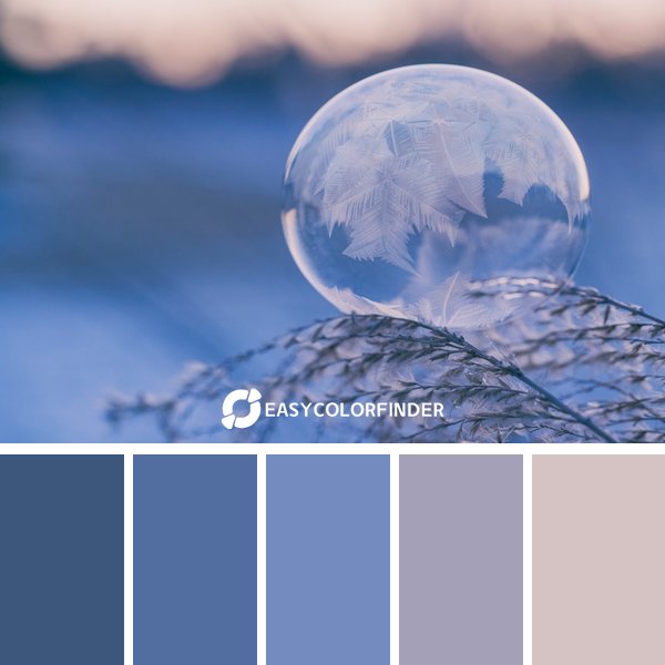 winter color palette 4 featuring 5 harmonious colors - photographed by Aaron Burden