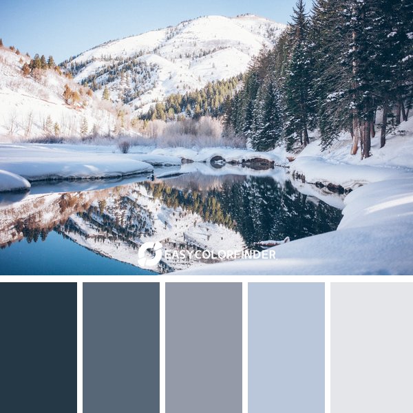 winter color palette 5 featuring 5 harmonious colors - photographed by Colby Thomas