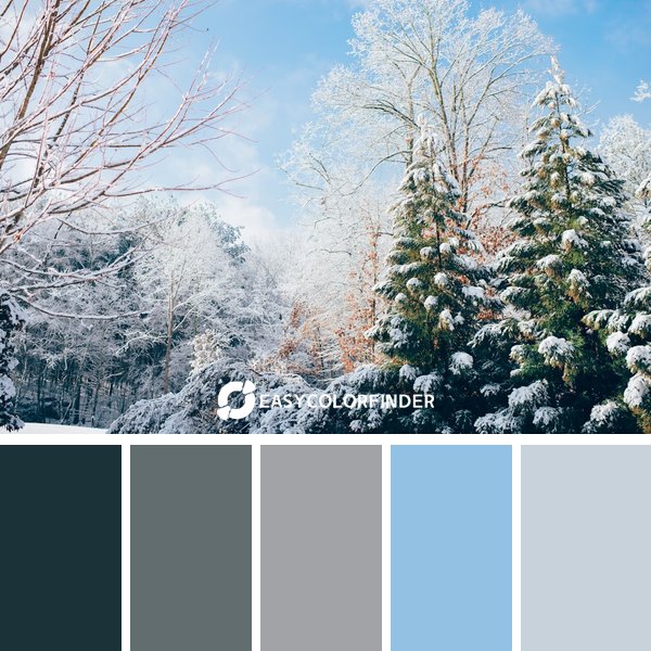 winter color palette 6 featuring 5 harmonious colors - photographed by Ian Schneider