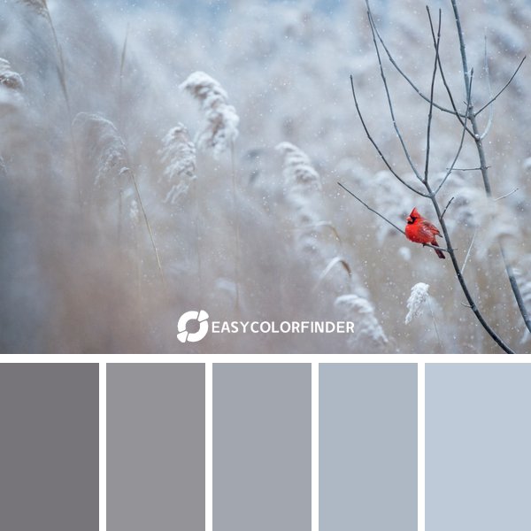 winter color palette 7 featuring 5 harmonious colors - photographed by Ray Hennessy