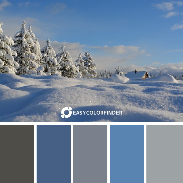 winter color palette 9 featuring 5 harmonious colors - photographed by Bob Canning