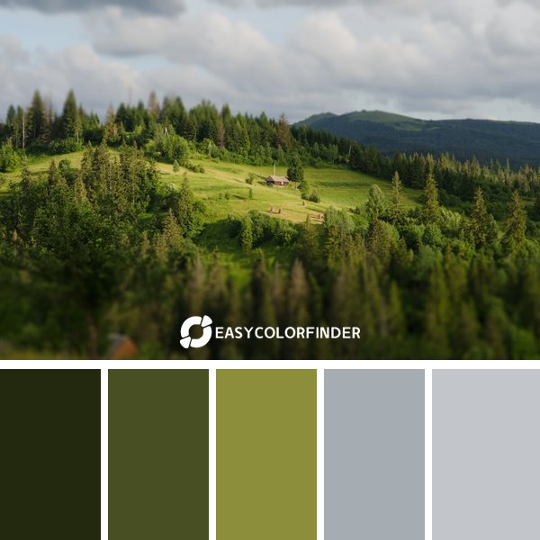 Forest Green color palette 5 featuring 5 harmonious colors - photographed by Daria Krav