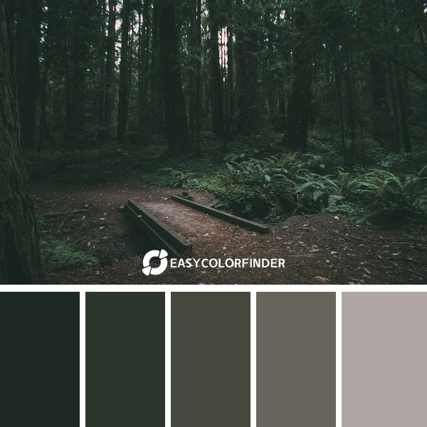 Forest Green color palette 6 featuring 5 harmonious colors - photographed by Aaron Alvarado