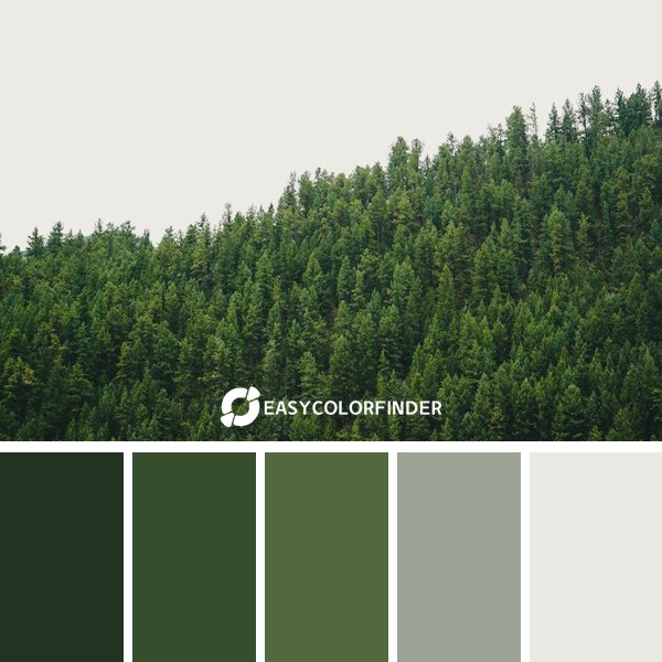 Forest Green color palette 9 featuring 5 harmonious colors - photographed by Catherine Heath