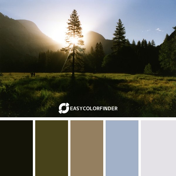 Forest Green color palette 11 featuring 5 harmonious colors - photographed by Les Anderson