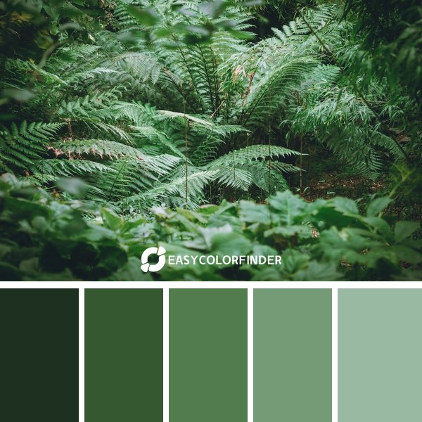 Forest Green color palette 15 featuring 5 harmonious colors - photographed by Liza Pooor