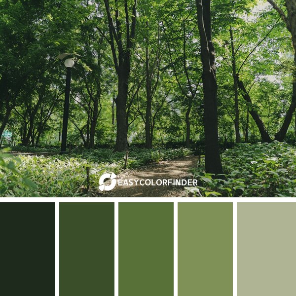 Forest Green color palette 20 featuring 5 harmonious colors - photographed by sq lim